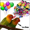 Enjoy with Beautiful Gift - Click here to View more details about this Product
